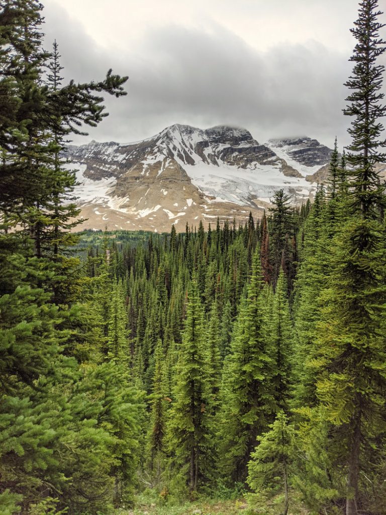 Heading down towards Yoho Valley