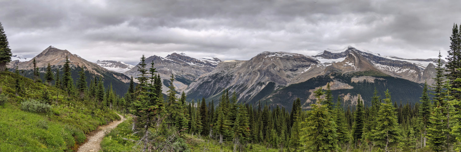 Panoramic views up in the Alpine meadows on the Whaleback Trail