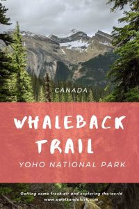Whaleback Trail in Yoho National Park - view from near Twin Falls