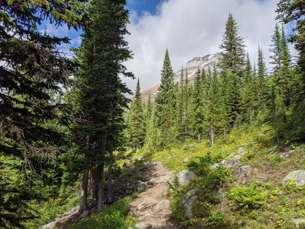 Head along the trail to Eiffel Lake