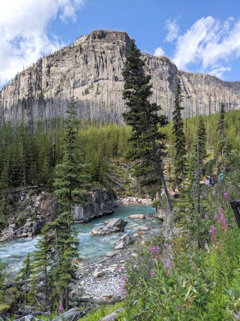 Tokumm Creek at Marble Canyon