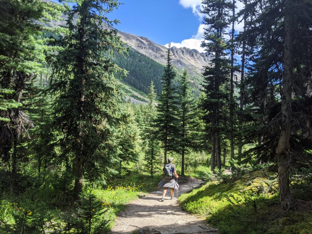Beautiful trail to Consolation Lakes