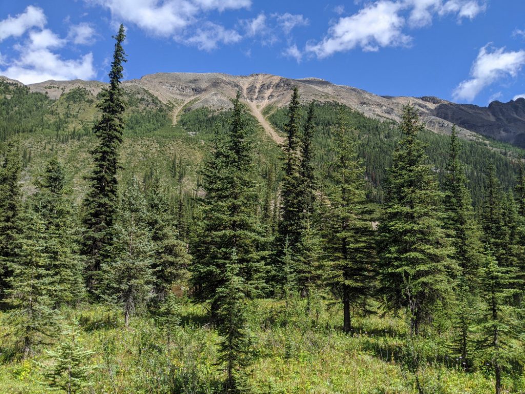 Panorama Ridge from the trail to Consolation Lakes