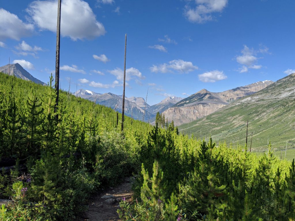 Views into Kootenay National Park