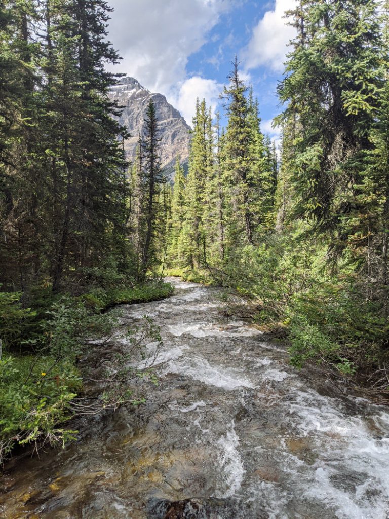 Babel Creek from the trail