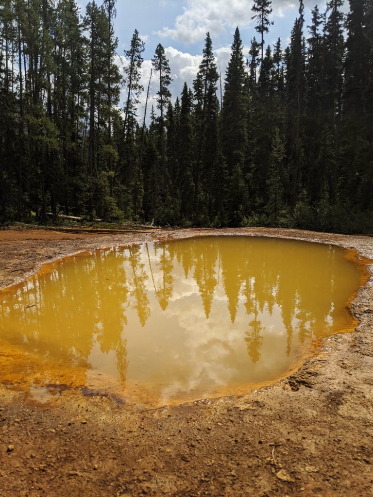 Paint pots - ochre