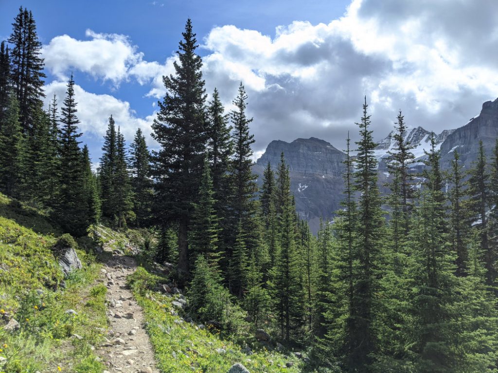 Heading home - That's Mount Babel through the trees