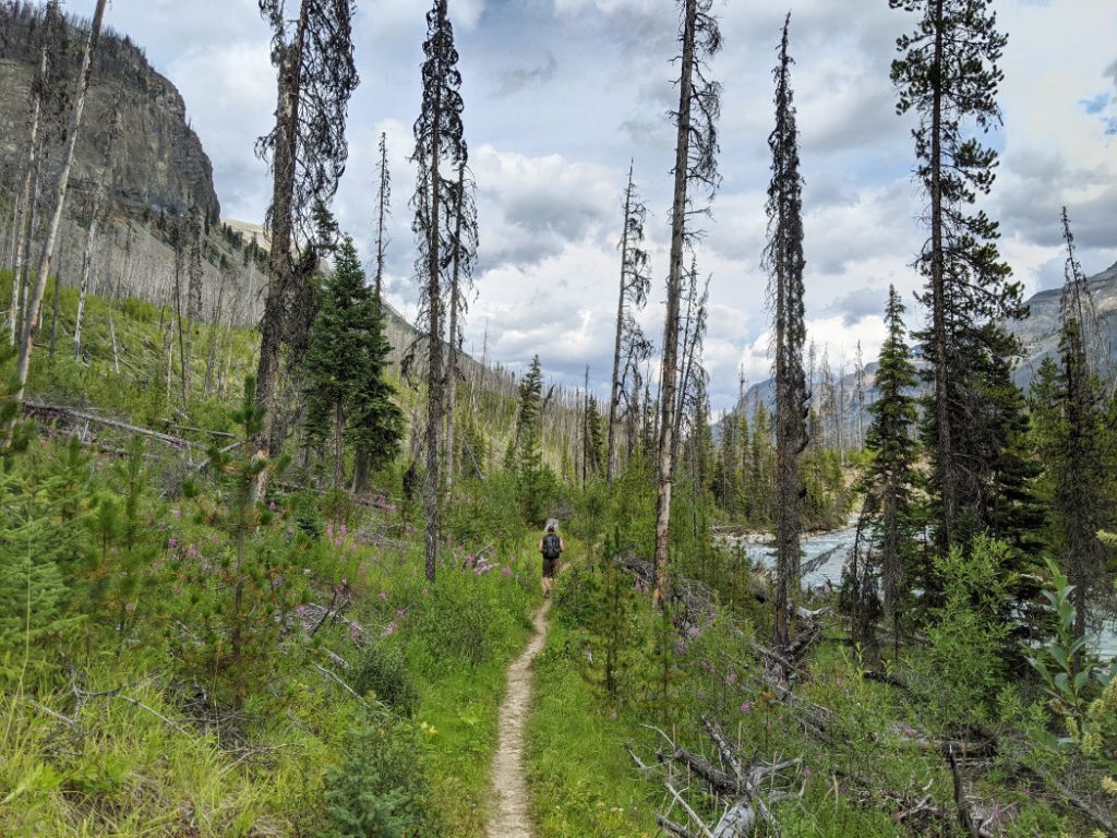 Trail back to Marble Canyon