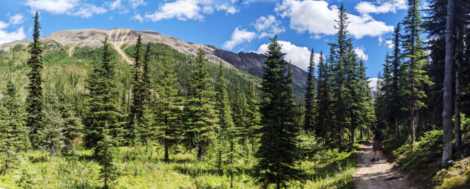 Panorama near Consolation Lakes