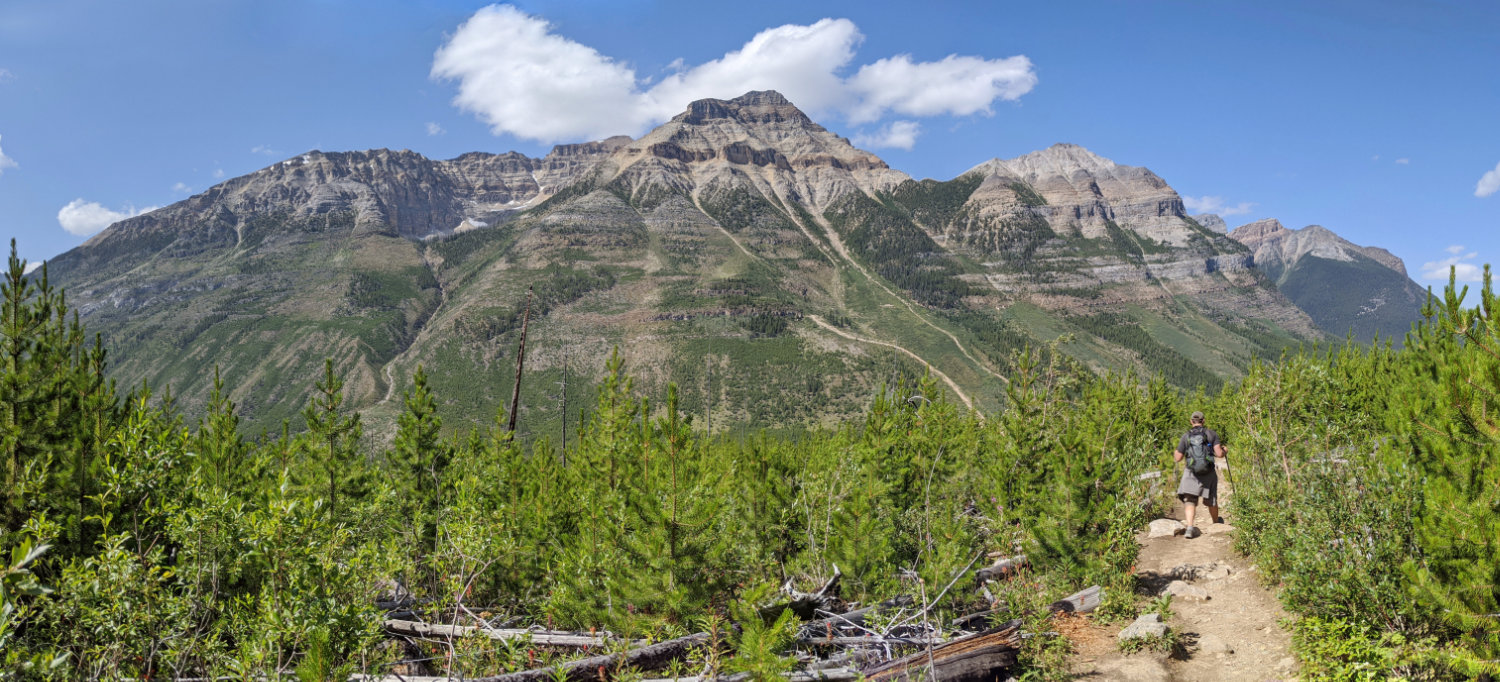 Views of Mount Whymper from Stanley Glacier Trail