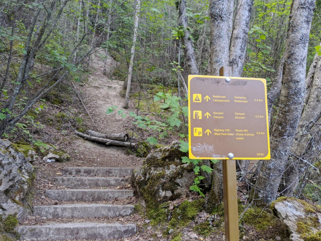Start of the Juniper Loop trail