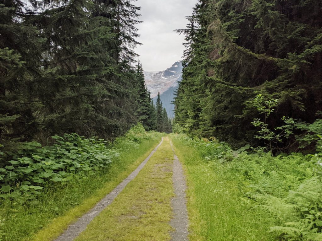 Views of the Illecillewaet Glacier (Great Glacier) start of the trail