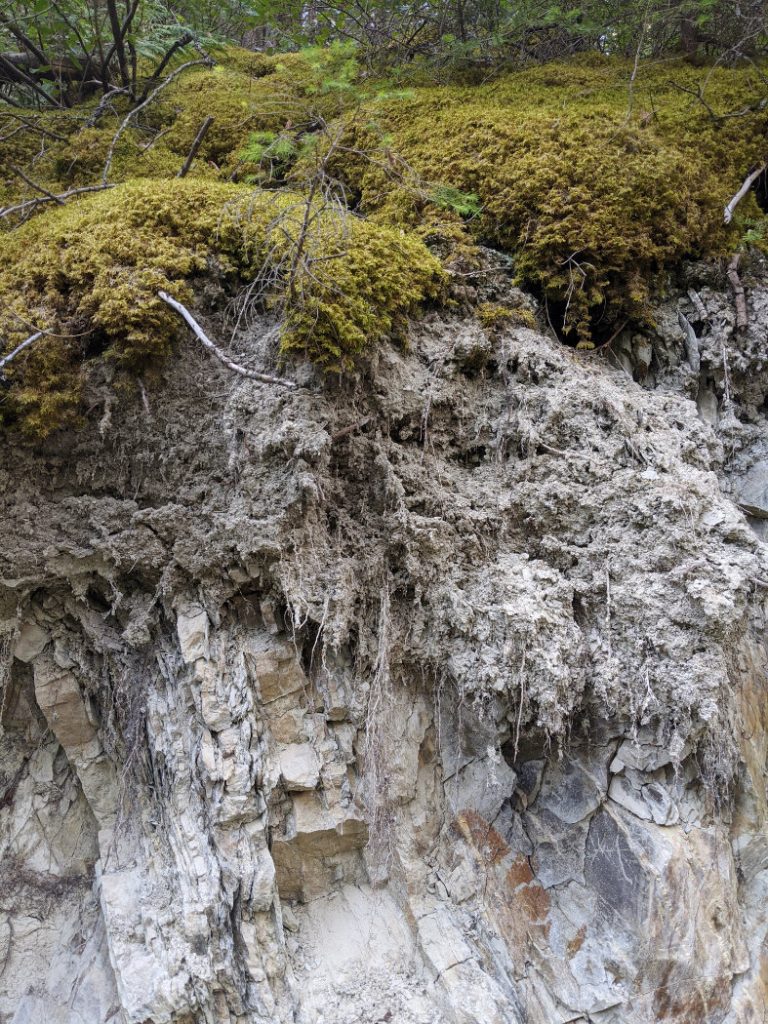 Chalky sides of the trail