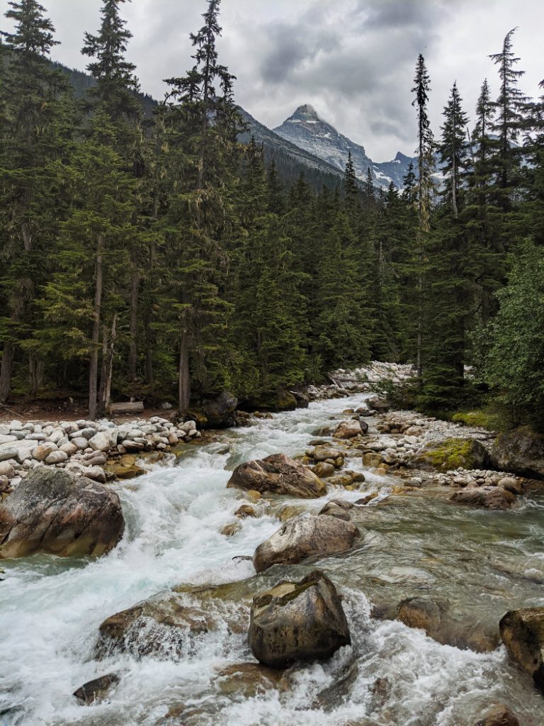 Asulkan Brook with Mount Sir Donald