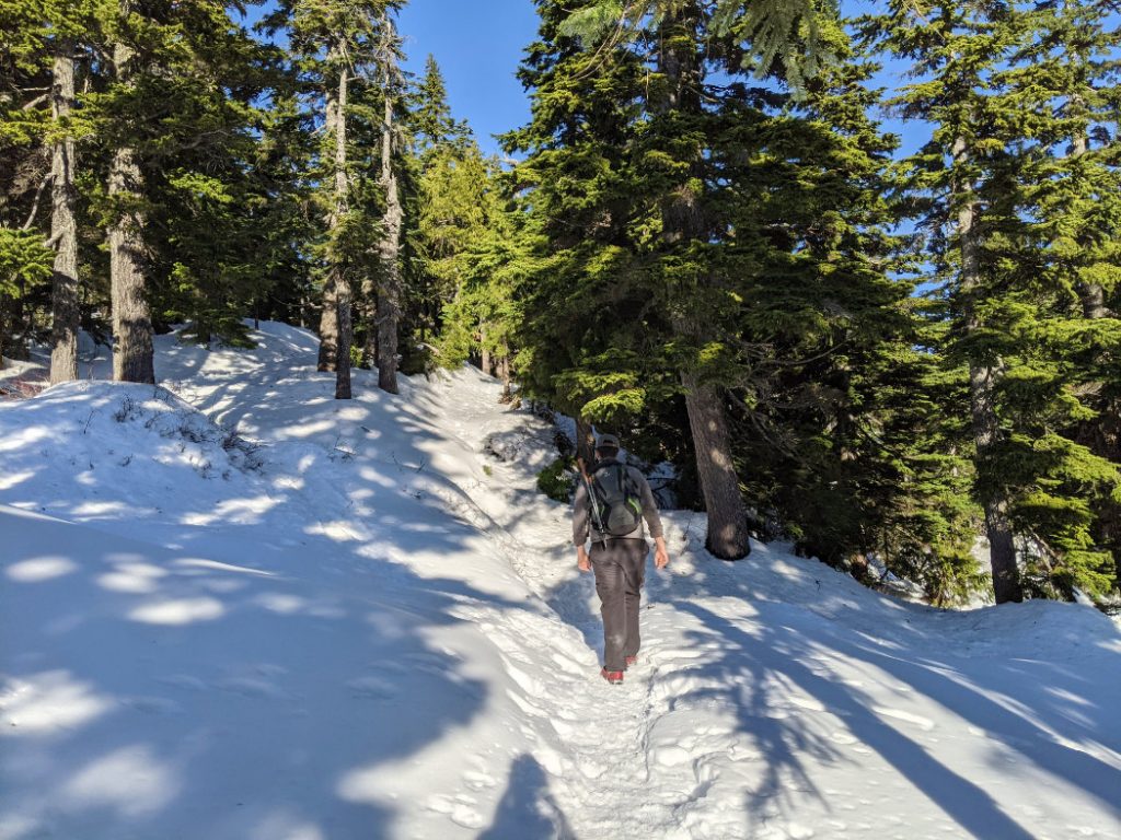 Snowshoeing on Black Mountain