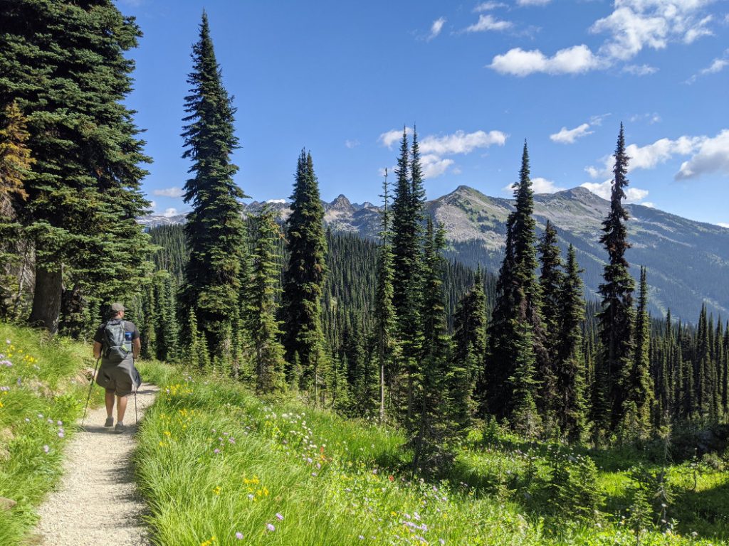 Heading off down the Miller Lake Trail