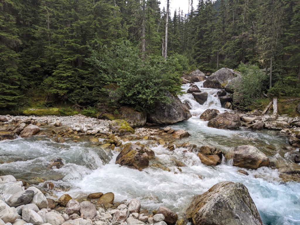 Meeting of the Waters - Asulkan Brook joins the Illecillewaet River