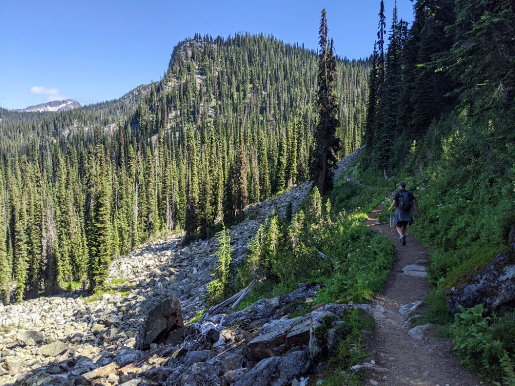 Larger boulders along the Miller Lake trail