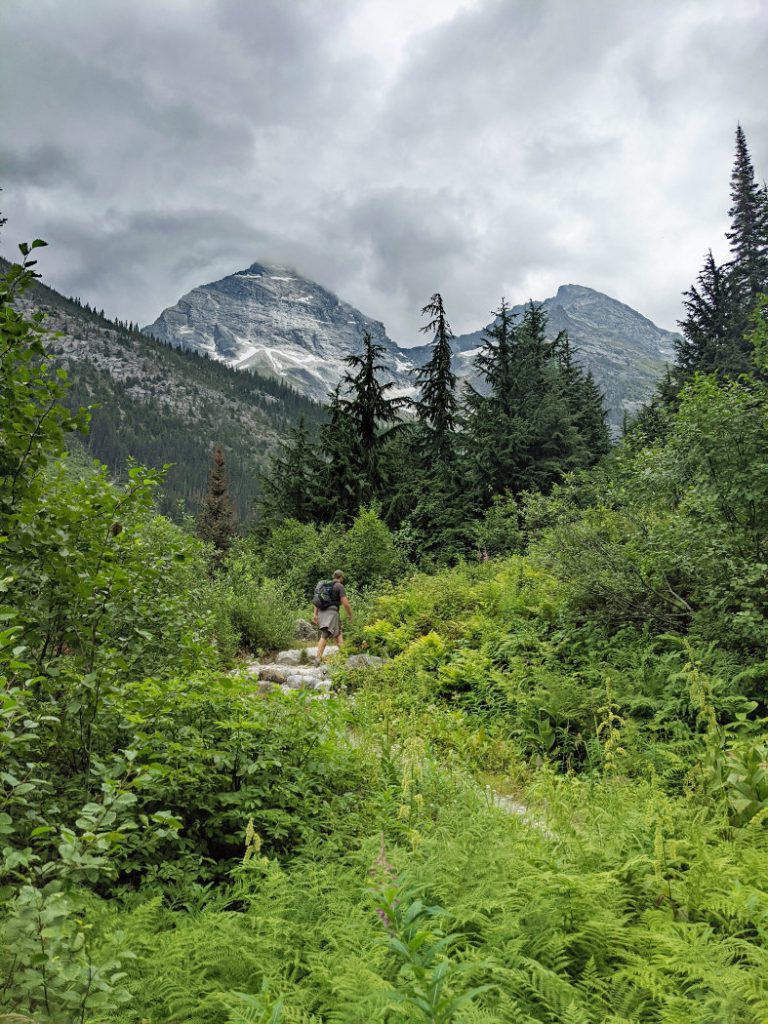 Out of the trees - views of Mount Sir Donald