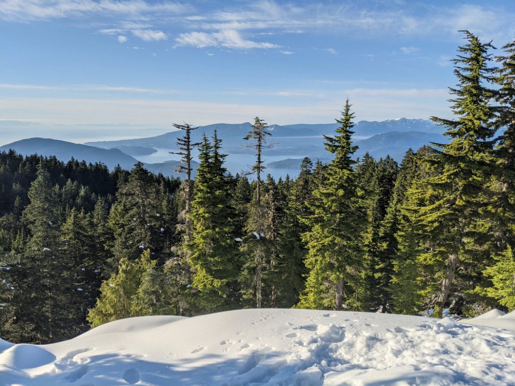 Howe Sound above the trees