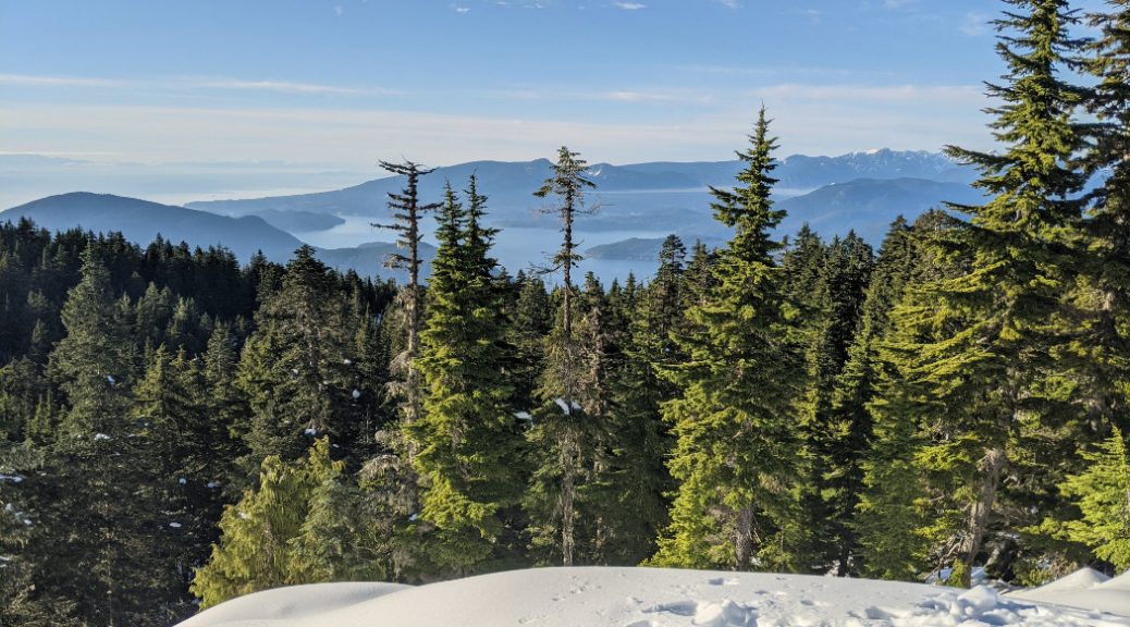 Howe Sound above the trees