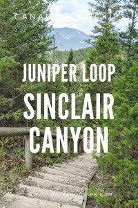 Juniper Loop at Sinclair Canyon - Kootenay National Park