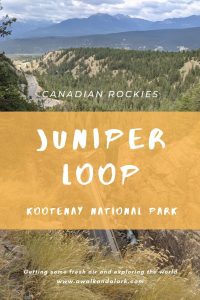 Juniper Loop trail in Kootenay National Park