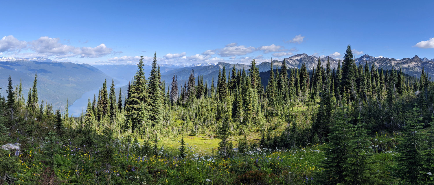 Gorgeous views of the meadows in the sky - Revelstoke National Park