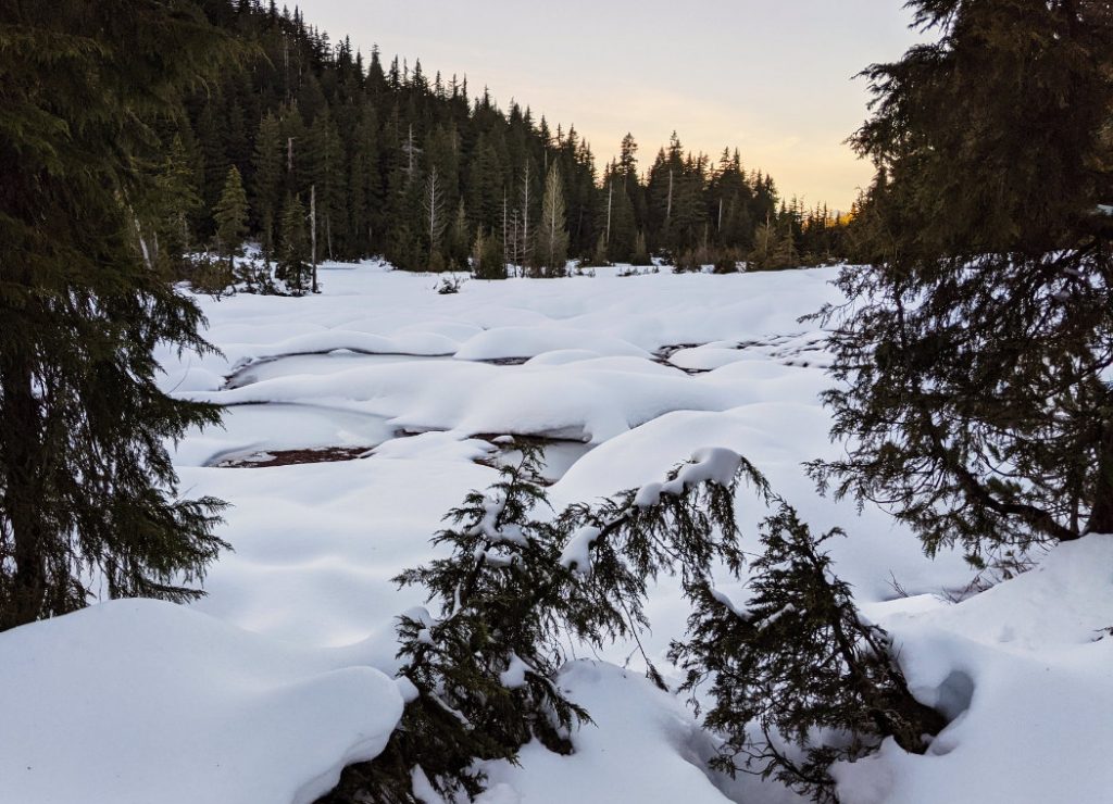 Marsh area near Yew Lake in pillowy snow