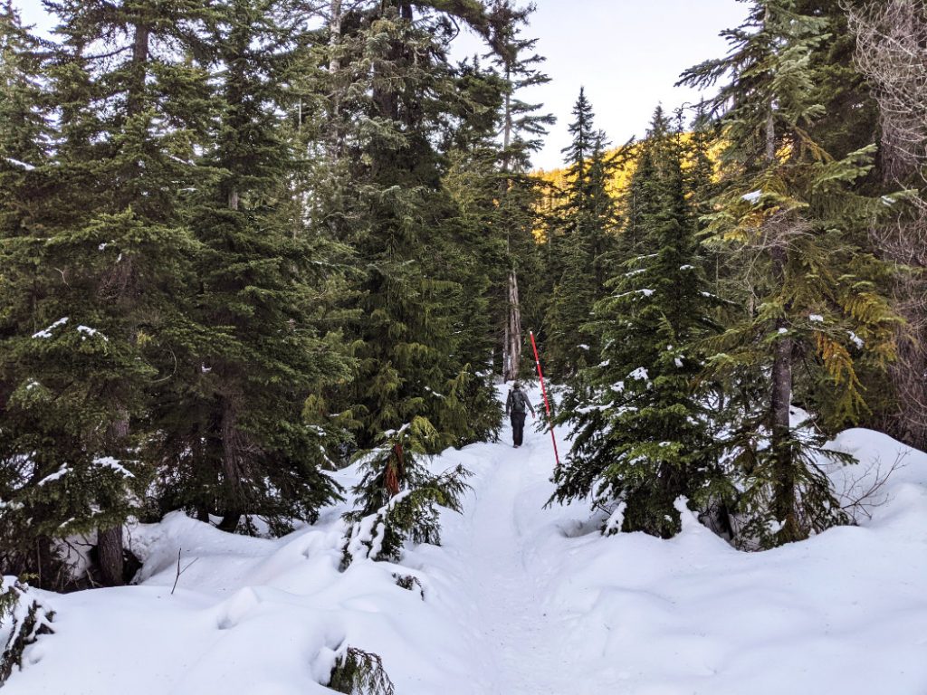 Snow trails on Cypress Mountain