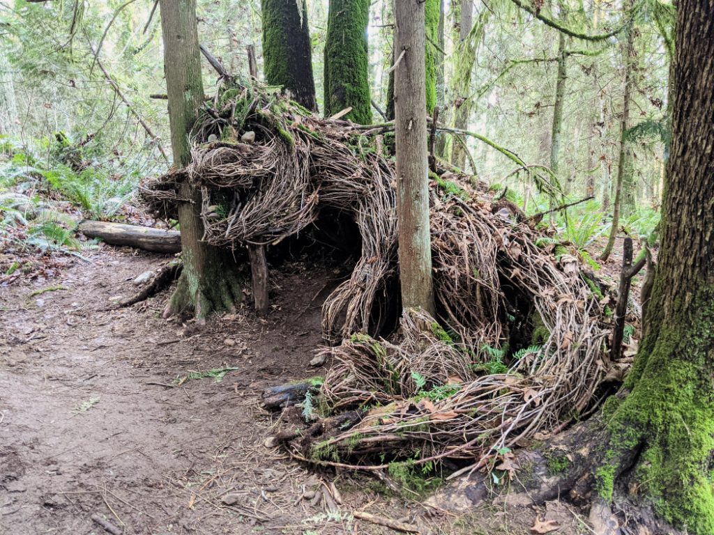 Amazing Dragon in Robert Burnaby Park