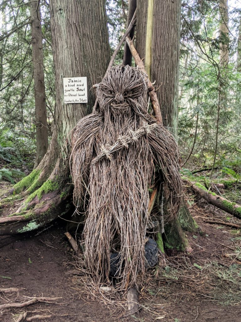 Chewie in the woods in Robert Burnaby Park