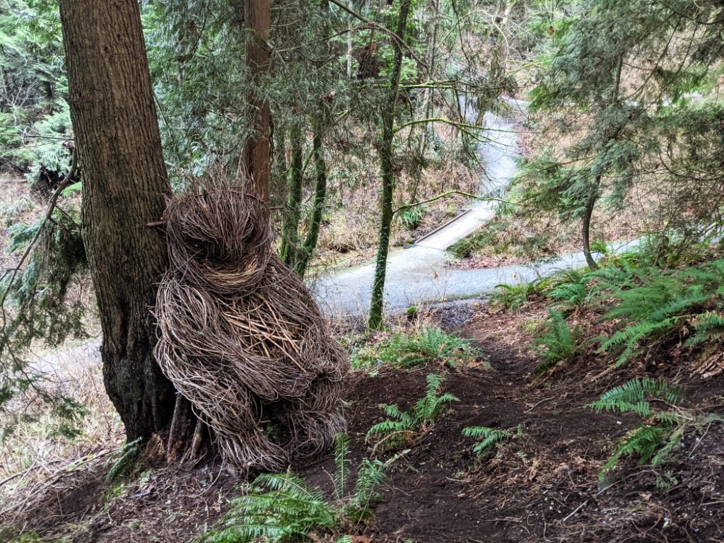 Mr Troll in Robert Burnaby Park
