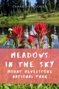 Meadows in the Sky to Miller Lake and Eva Lake - Mount Revelstoke, Canada