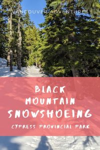 Snowshoeing on Black Mountain near Vancouver, Canada