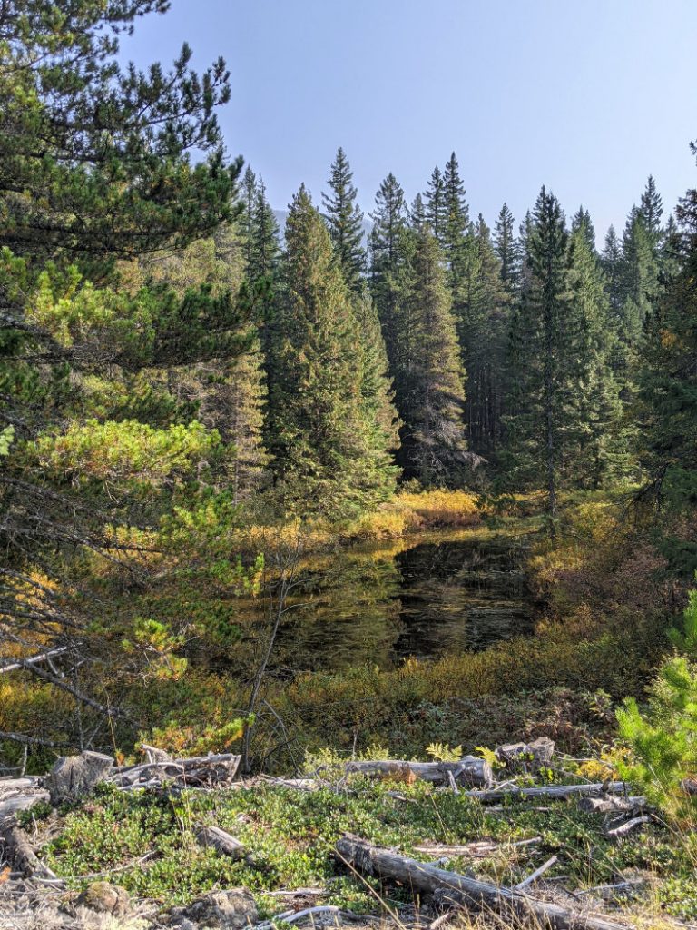 Pretty views on the way to Shadow Lake