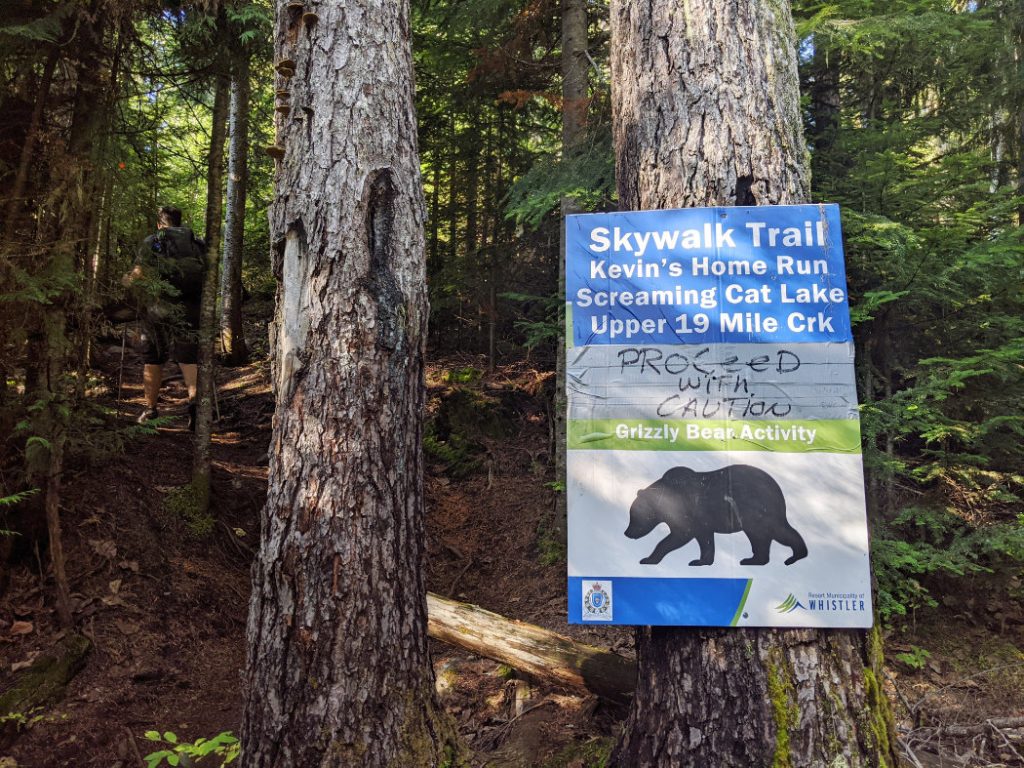 Watch out for bears
