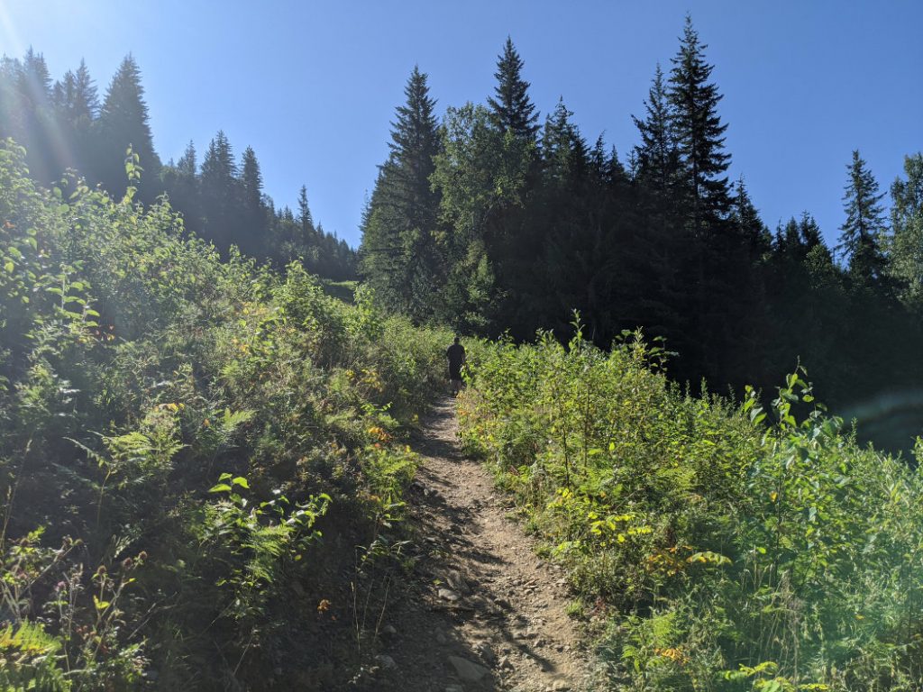 Crossing across the ski run at Revelstoke Resort