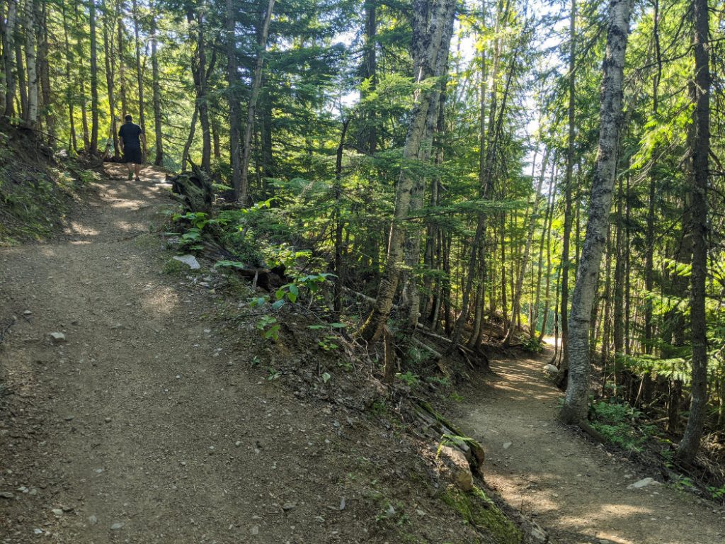 Revelstoke Mountain Resort in the trees