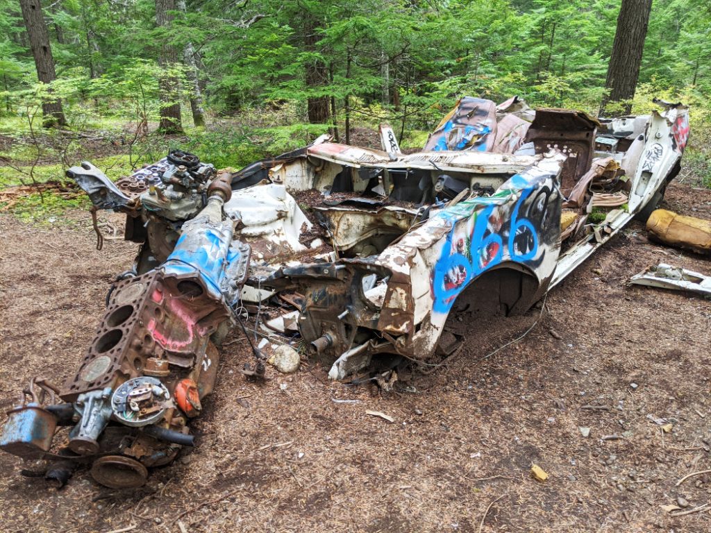 Another dead car