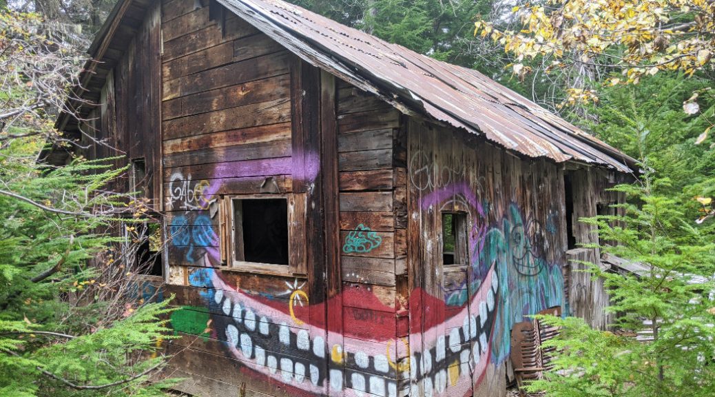 This cabin is happy to be up in Parkhurst Ghost Town