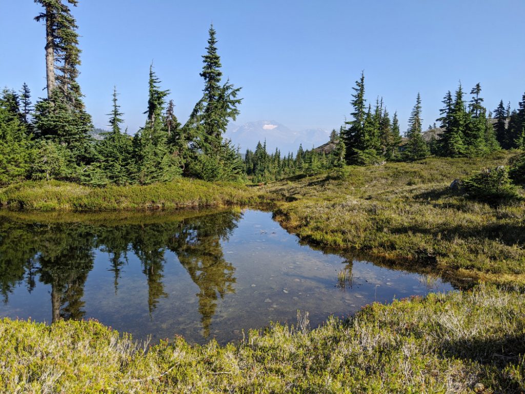 Views back towards to Whistler