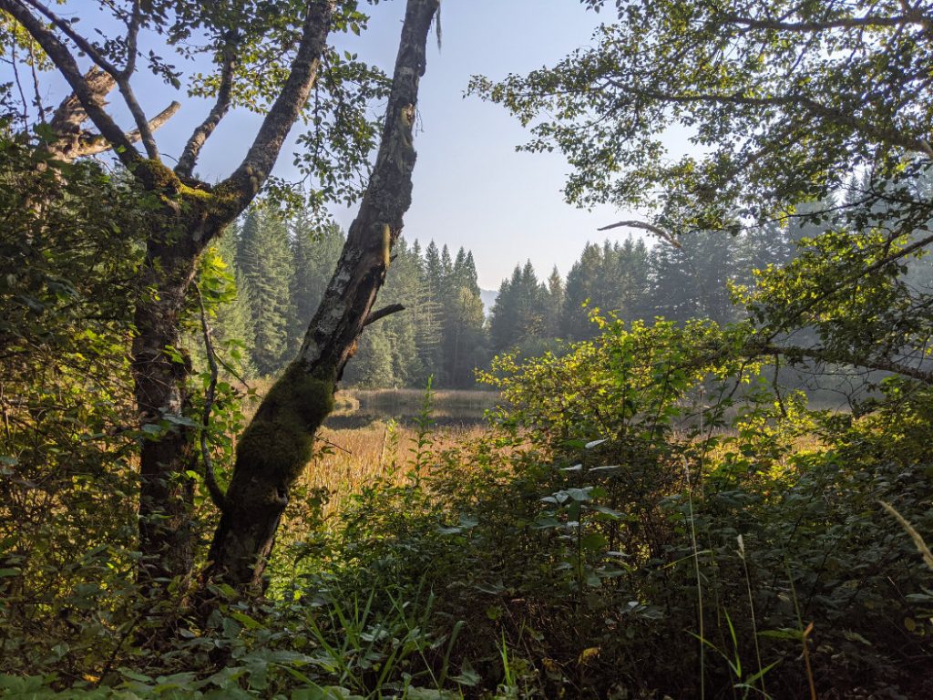 Sneak Peak at Lake Lucille