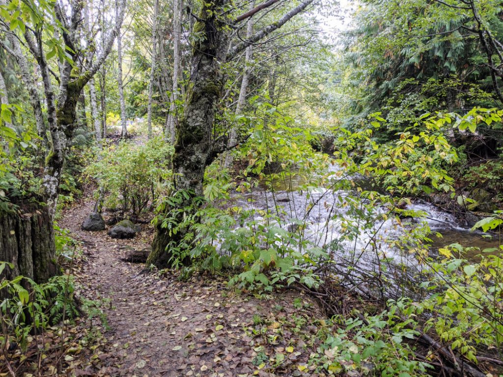 Near the trailhead