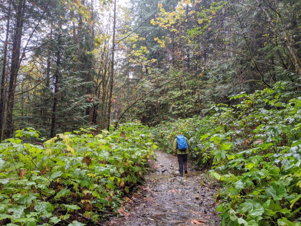 Start of the Crooked Falls trail