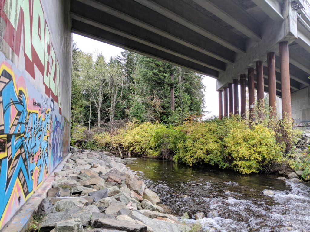 Head under the highway then along the river