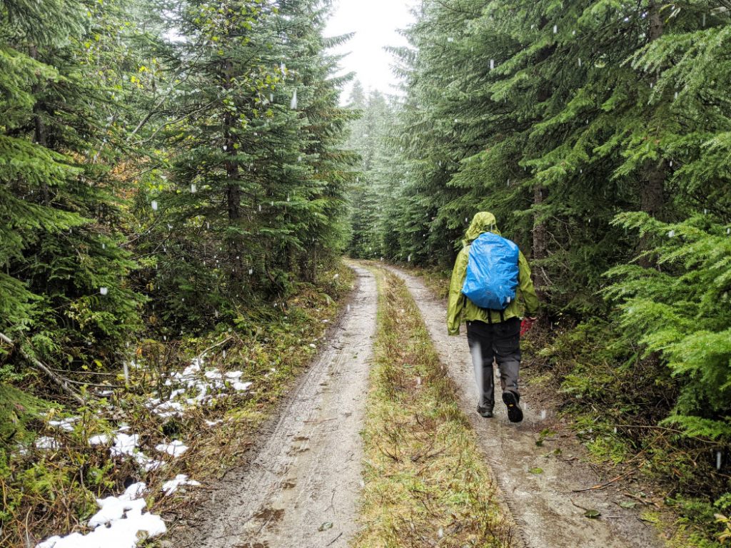 Logging road views