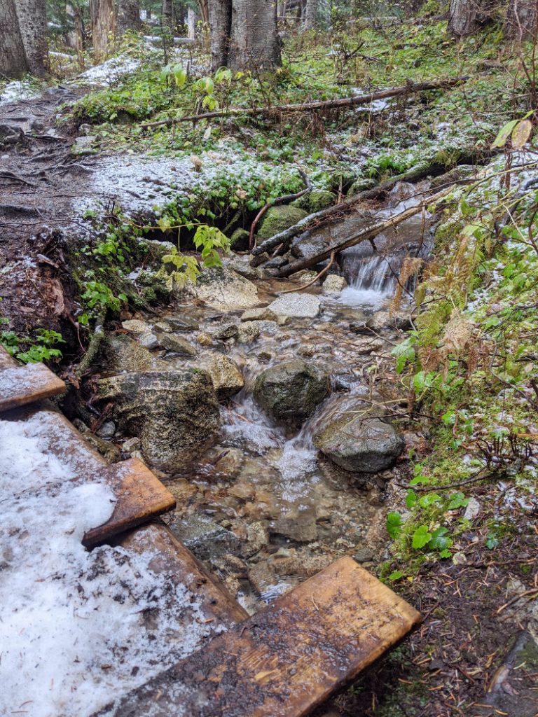 Plenty of bridges and creeks to cross