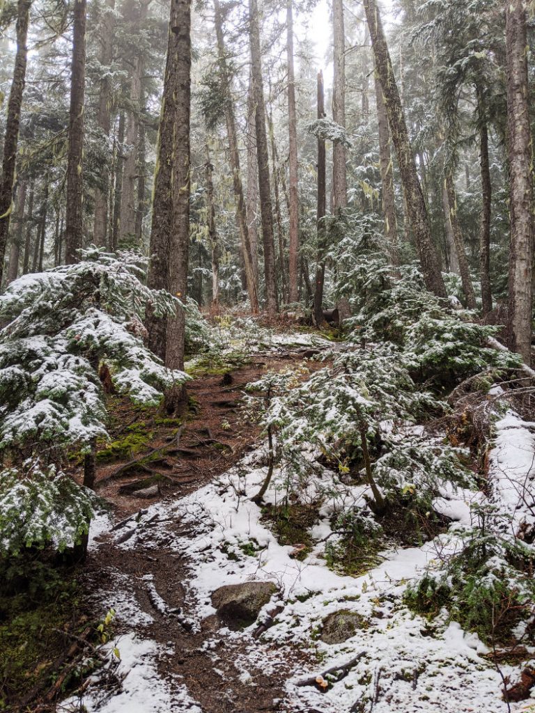 Sprinkling of snow but the path was clear