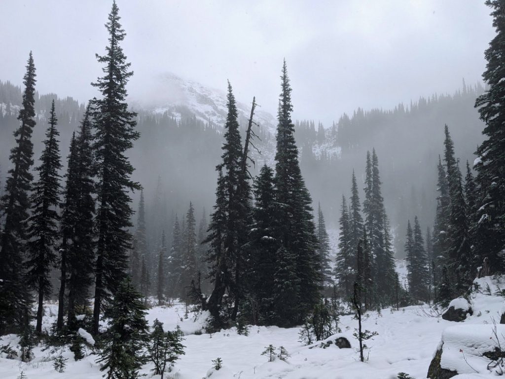 Meadow below the boulder field